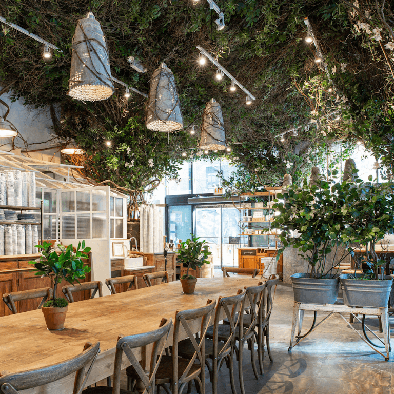 maman, a bar in SoHo