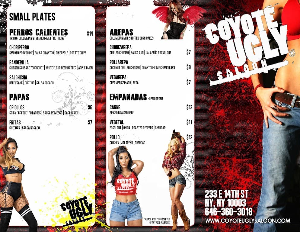 Coyote Ugly New York photo 3