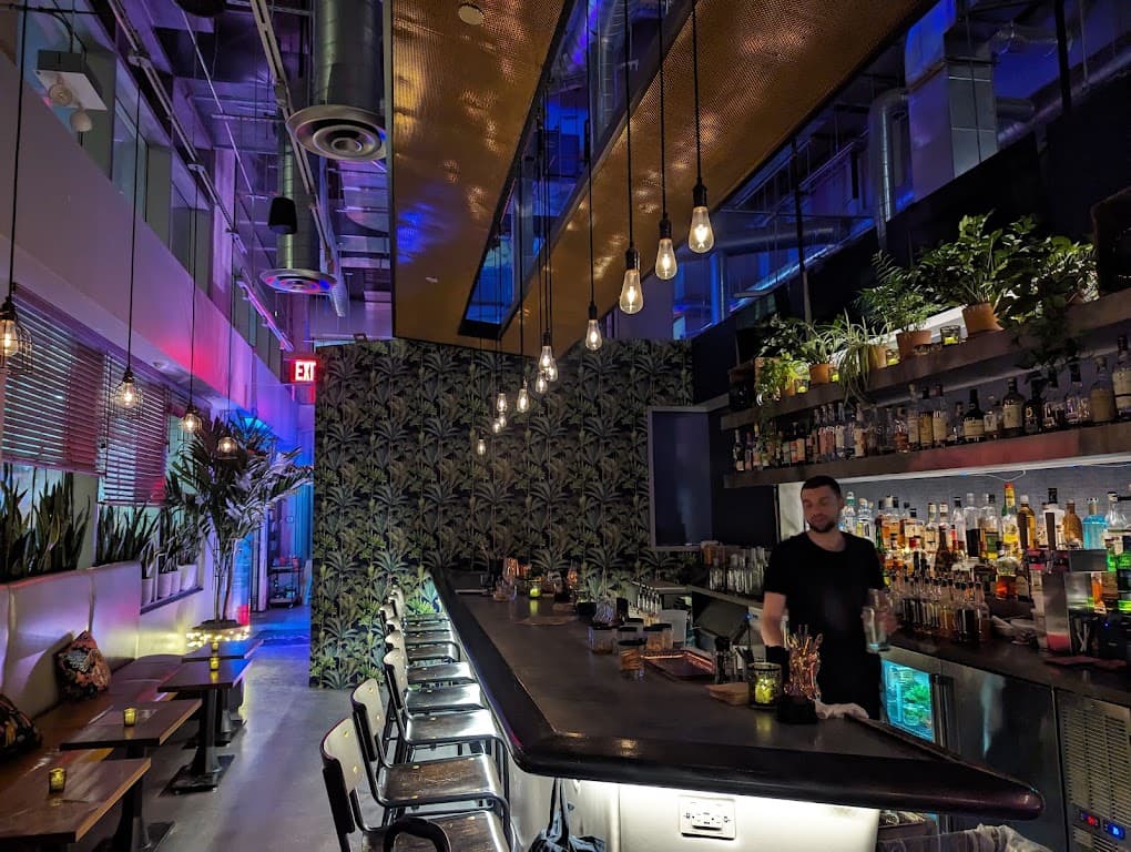 Vine Bar, a cocktail bar in Fort Greene
