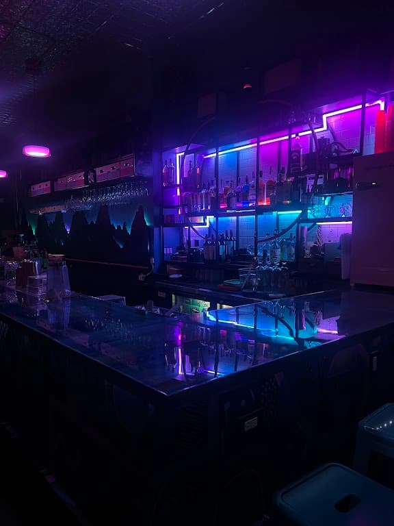 Wolfpup Bar, Prospect Lefferts Gardens bar