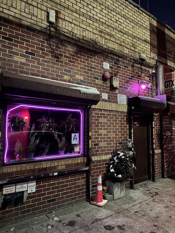 Jupiter Disco, a bar in East Williamsburg