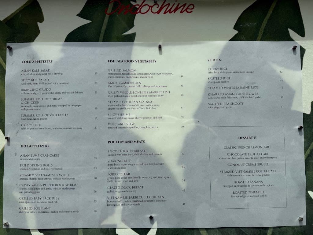 Indochine photo 2